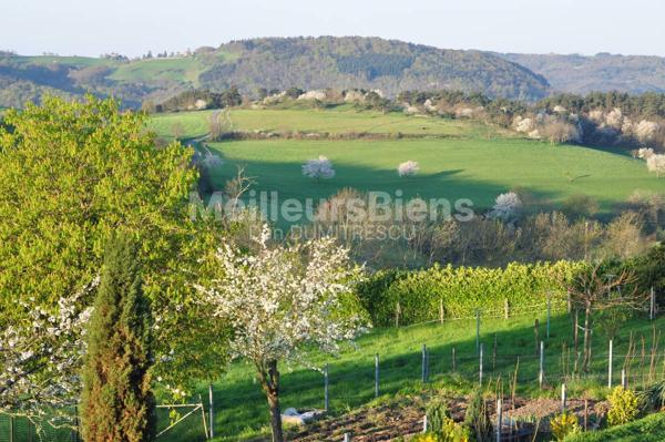 Rare  secteur Condamine/St Victor sur Loire  Belle villa 105m² habitable  sur 250 m2 de terrain