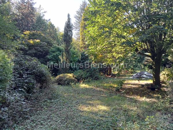 Chalets sur un grand terrain