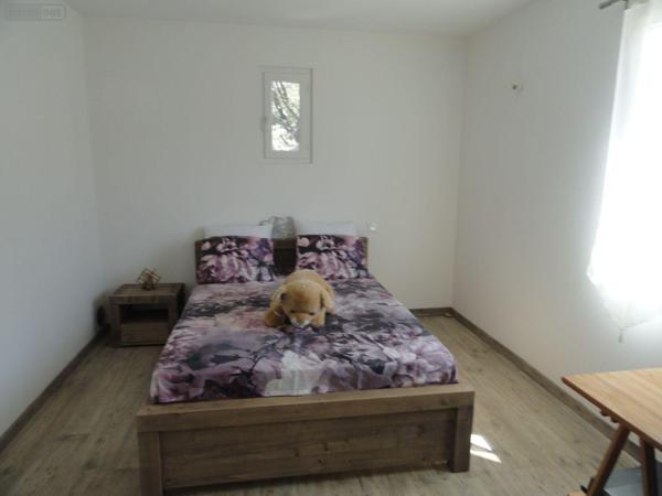 Maison individuelle à vendre à Saint-Gilles dans le Gard (30800), ref : 11411/358