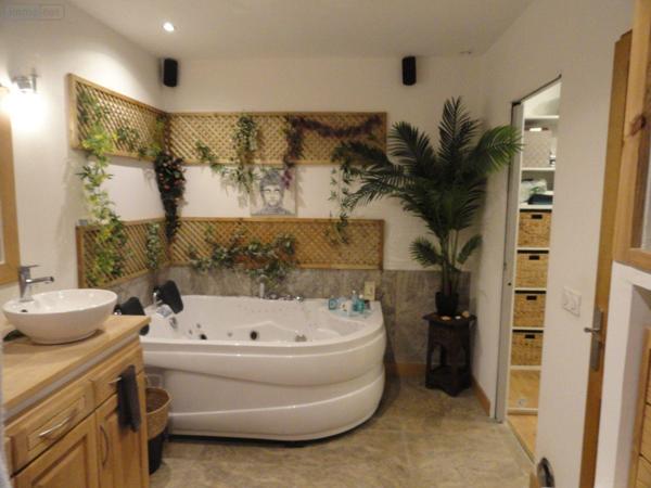 Maison individuelle à vendre à Saint-Gilles dans le Gard (30800), ref : 11411/358