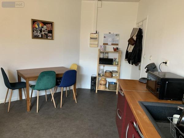 Appartement à louer à Saint-Nicolas dans le Pas-de-Calais (62223), ref : 62135-L1108