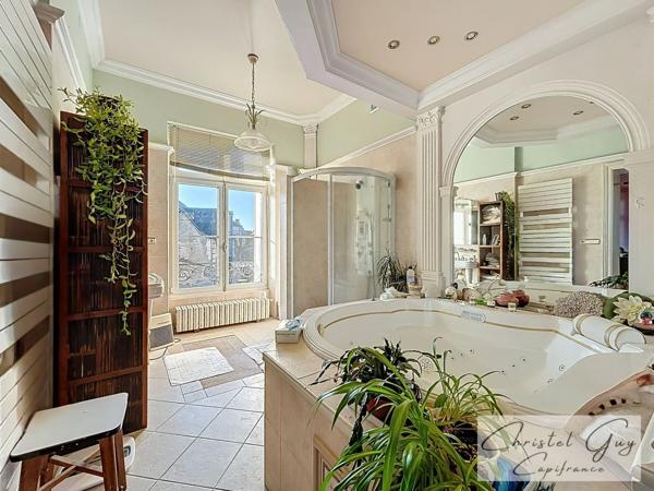 Maison de Maître, coeur de ville MONTVAL-SUR-LOIR (72), 6 chambres, terrain 2090 m²