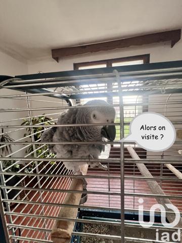 Maison traditionnelle 6 pièces de 208 m² à Vic-en-Bigorre (65500)