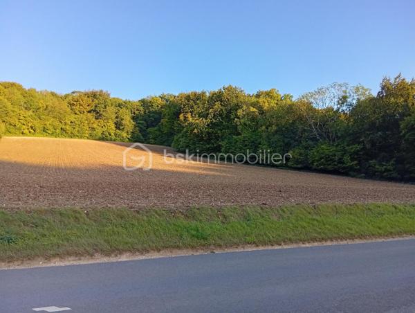 Terrain agricole de 6 572 m²