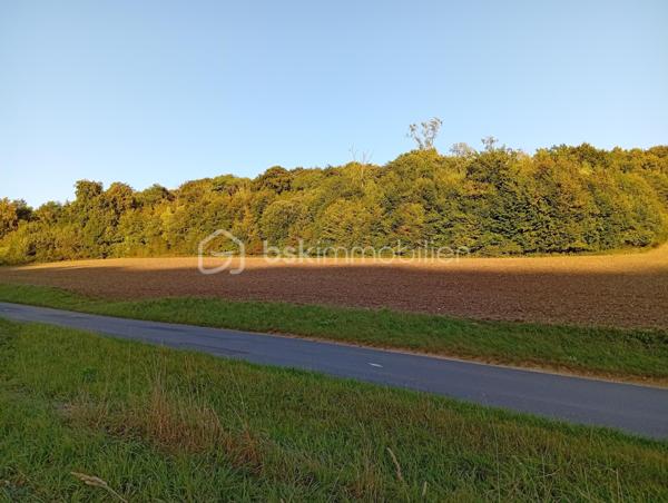 Terrain agricole de 6 572 m²