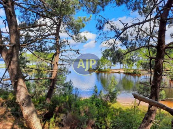Vente appartement Biscarrosse Plage : 308 000 € - AJP Immobilier Biscarrosse