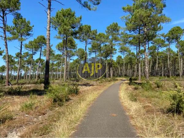 Vente appartement Biscarrosse Plage : 308 000 € - AJP Immobilier Biscarrosse