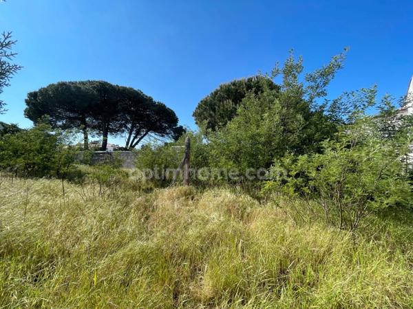 Terrain à vendre secteur calme à LA FLOTTE 17630