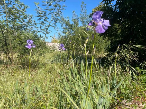 Terrain à vendre secteur calme à LA FLOTTE 17630