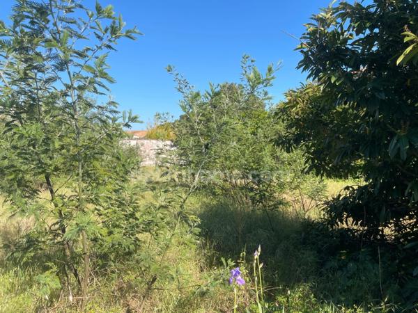 Terrain à vendre secteur calme à LA FLOTTE 17630