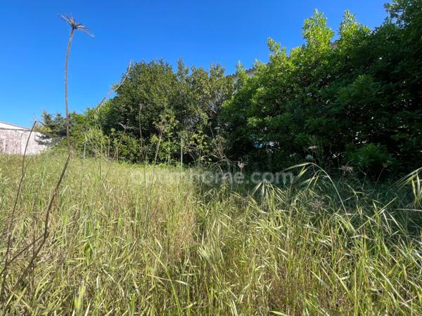 Terrain à vendre secteur calme à LA FLOTTE 17630