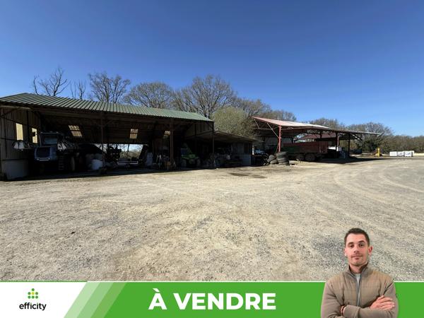 Maison 10 pièces - 5549 m²