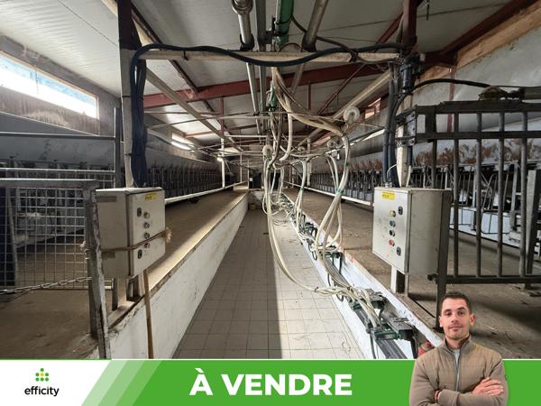 Maison 10 pièces - 5549 m²