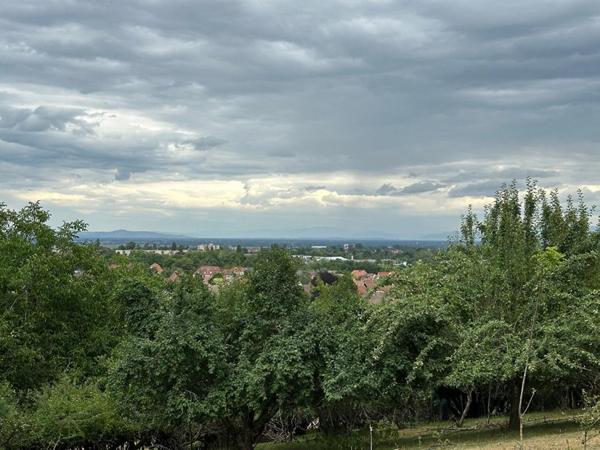 Soultz Haut Rhin, Très beau terrain à bâtir, 3739 m2 dans le secteur recherché du Wolfhaag