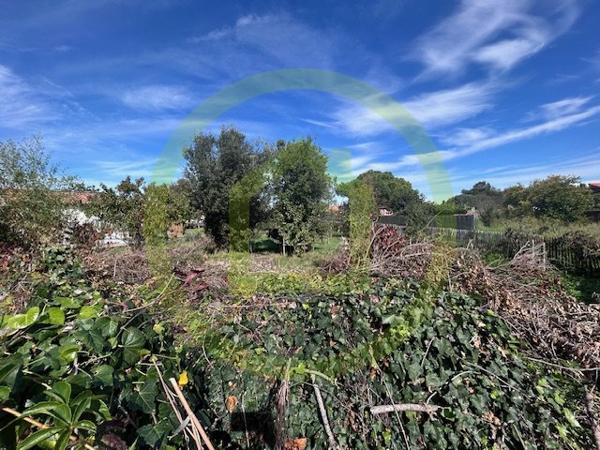 Maison à LES SABLES D'OLONNE (85100)