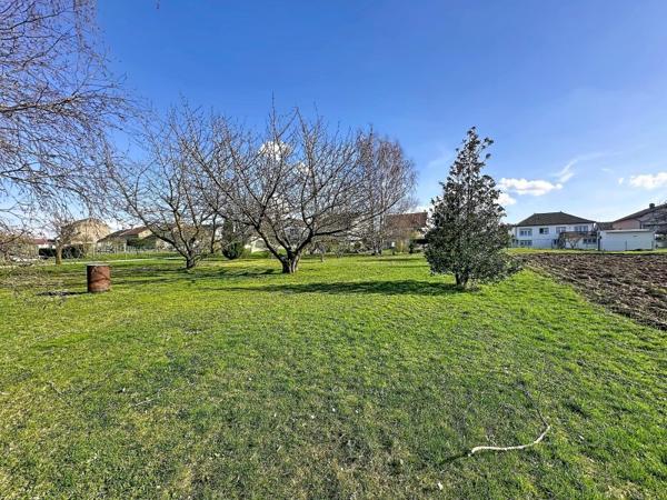 Vente / Maison T6 à Coume (57220)