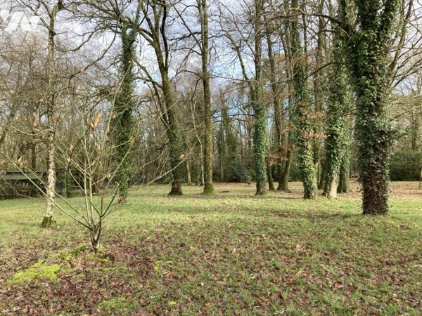 Maison et terrain constructible à vendre Guer Morbihan 56