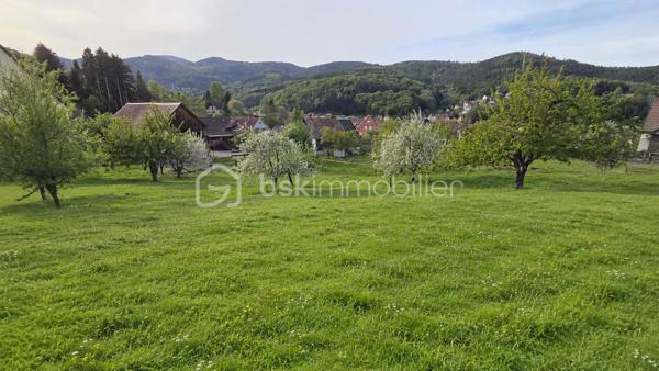 Vous recherchez un environnement calme et verdoyant pour construire votre future maison ? Découvrez ce beau terrain constructible de 599 m² situé à Breitenbach, dans un secteur agréable et recherché.

Ce terrain offre un cadre idéal pour un projet de résidence principale ou secondaire, au cœur de la nature tout en restant proche des commodités essentielles.

LES POINTS FORTS :

• Terrain plat et entièrement constructible
• Surface de 599 m²
• Libre de constructeur et d’architecte
• Quartier résidentiel calme
• Belle qualité de vie
• Fort potentiel pour projet personnalisé

Un accompagnement dans votre projet de construction peut également être envisagé si vous le souhaitez (mise en relation avec architecte, constructeur ou conseils techniques), sans engagement.

LA COMMUNE :

Breitenbach séduit par son environnement naturel, sa tranquillité et ses services de proximité :

• Écoles maternelle et primaire
• Cabinet médical
• Commerces et services du quotidien
• Restaurants et auberges
• Accès train et lignes de bus

Un emplacement idéal pour profiter d’un cadre de vie paisible tout en restant connecté aux communes environnantes.

Rare sur le secteur.

📞 Contactez-nous pour plus d’informations ou organiser une visite.