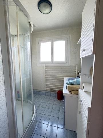 Maison à vendre à Porcaro dans le Morbihan (56380), ref : 56046-1303