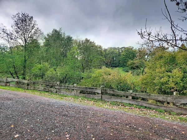 Pavillon familial lumineux, aux beaux volumes et au calme absolu !