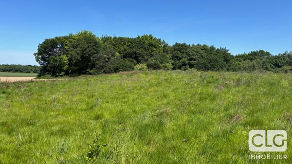 Manoir Ploemeur 6 pièces 250 m²