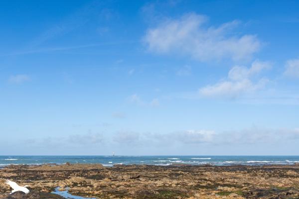 Maison à vendre |                                       Les Sables-d'Olonne |                                        4 pièces  |  96 m²