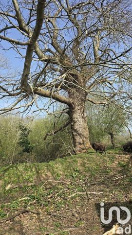 Maison à vendre 7 pièces 121 m² Lannion