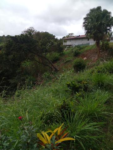 Urgent à vendre terrain de 1732 m² à St Esprit
