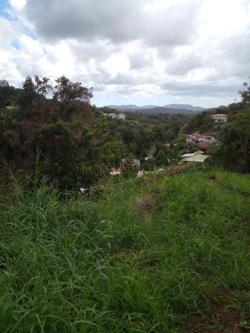 Urgent à vendre terrain de 1732 m² à St Esprit