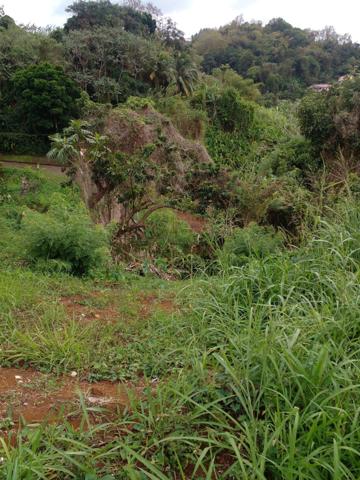 Urgent à vendre terrain de 1732 m² à St Esprit