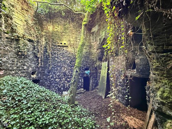 A vendre - Maison avec jardin - 4 pièces - Coeur de Doué la Fontaine - D5998