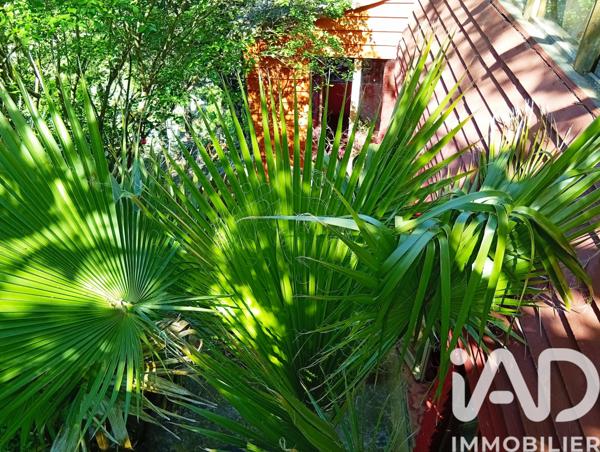 Terrain à vendre 52 m² Bédarieux