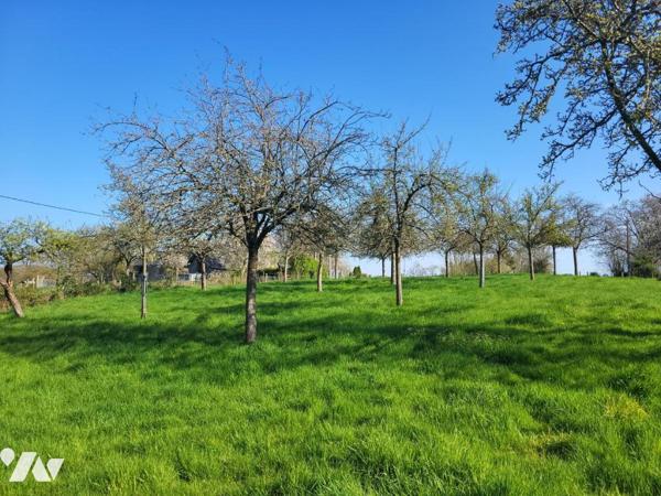 PIERRES Maison ancienne à rénover sur terrain de 5300 m²