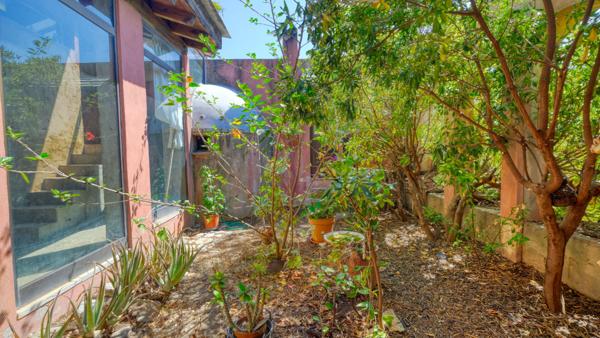 Vente propriété Centuri - Hameau de Cannelle T4 147 m²  avec terrain 5825 m² avec vue mer