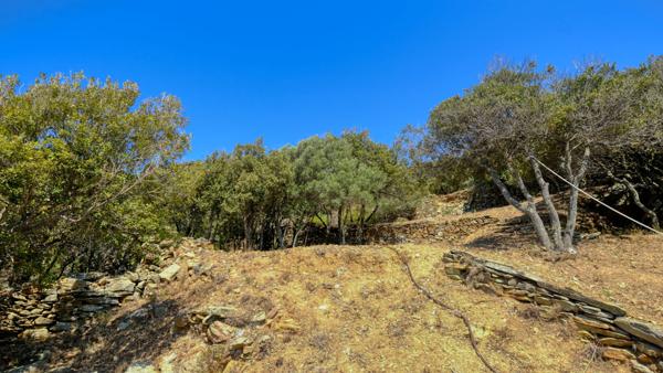 Vente propriété Centuri - Hameau de Cannelle T4 147 m²  avec terrain 5825 m² avec vue mer