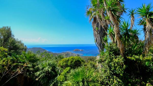 Vente propriété Centuri - Hameau de Cannelle T4 147 m²  avec terrain 5825 m² avec vue mer