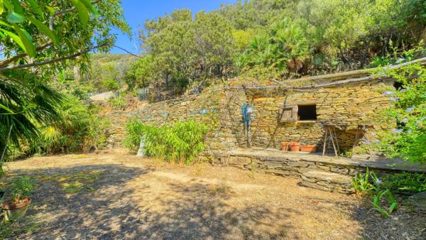 Vente propriété Centuri - Hameau de Cannelle T4 147 m²  avec terrain 5825 m² avec vue mer