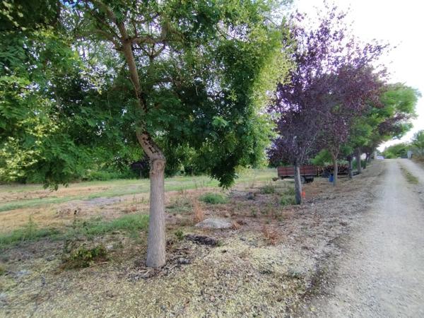 Vente / Terrain constructible