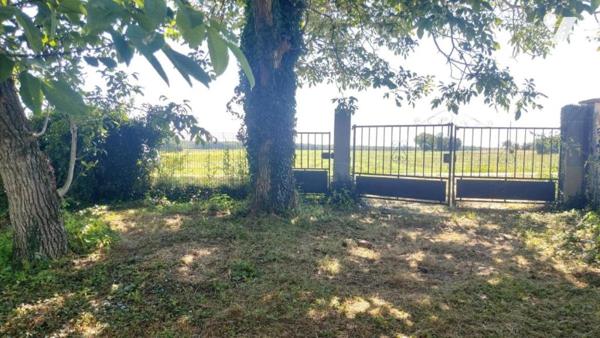 TERRAIN A BATIR sis à DORMELLES