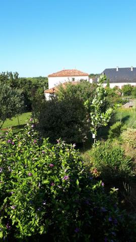 Maison de village ancienne à Limogne