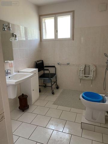 Maison à vendre à Mézières-en-Brenne dans l'Indre (36290), ref : 1049577