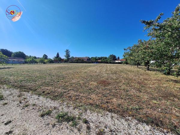 Venez découvrir ce terrain de 967 m² non viabilisé ...