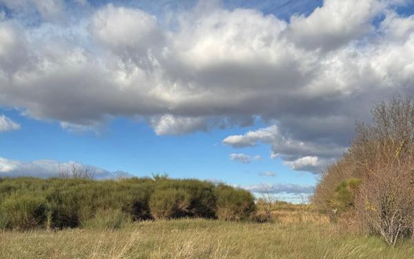 Terrain à vendre    Vinassan