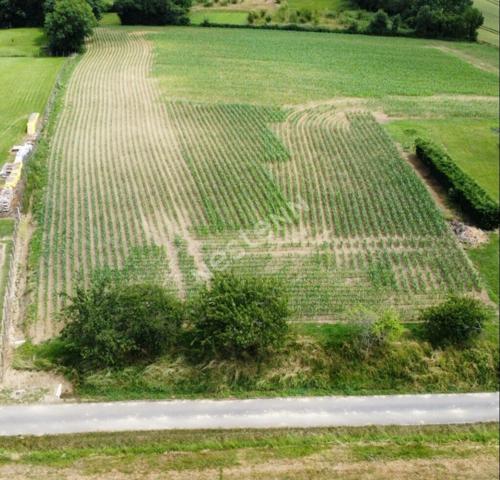 Terrain Montcony 1070 m2