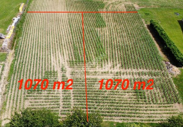 Terrain Montcony 1070 m2