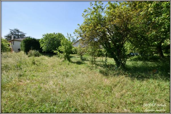 Maison avec grand terrain