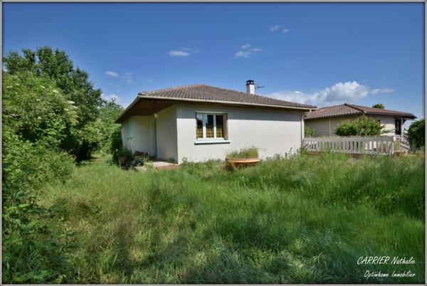 Maison avec grand terrain