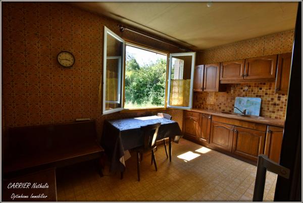 Maison avec grand terrain