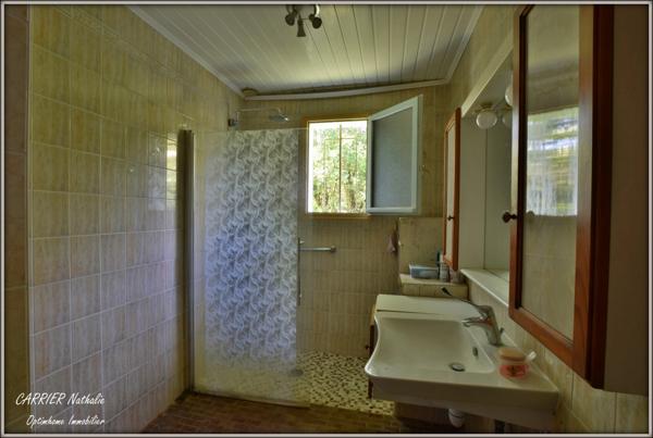 Maison avec grand terrain