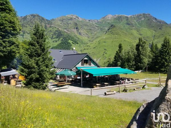 Restaurant à vendre 363 m² Barèges